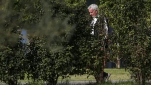 Older man in a striped blazer walks along a path behind dense shrubbery in a park.